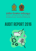 Audit Report 2016