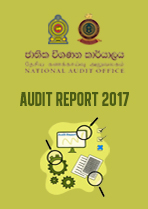 Audit Report 2017