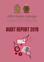 Audit Report 2019