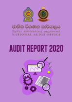 Audit Report 2020