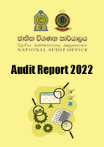 Audit Report 2022